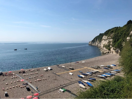 More information on Beer SC‘s beach is upgraded for your event!