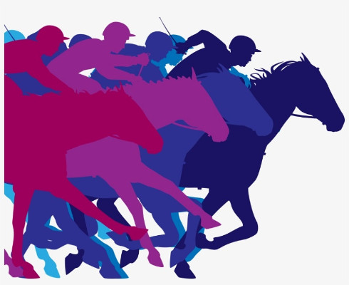 More information on RS800 Nationals’ Runners and Riders Out Now! And Rooster National Tour results too!